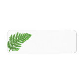 Green Fern (Vorne)