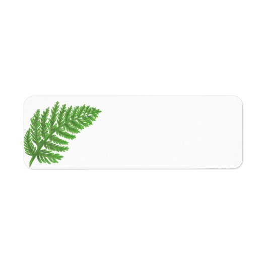 Green Fern (Vorne)