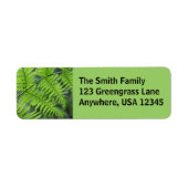 Green Fern (Vorne)