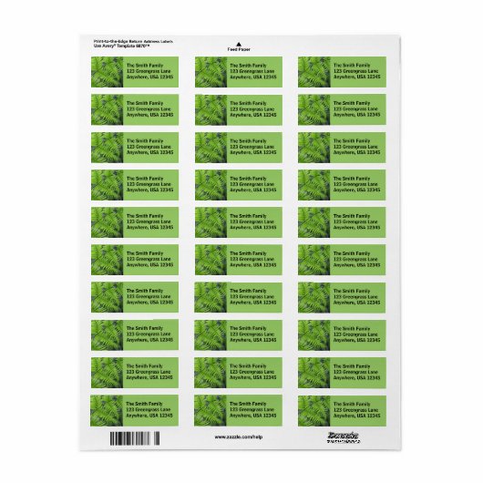 Green Fern (Vorne)