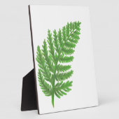Green Fern Fotoplatte (Seite)