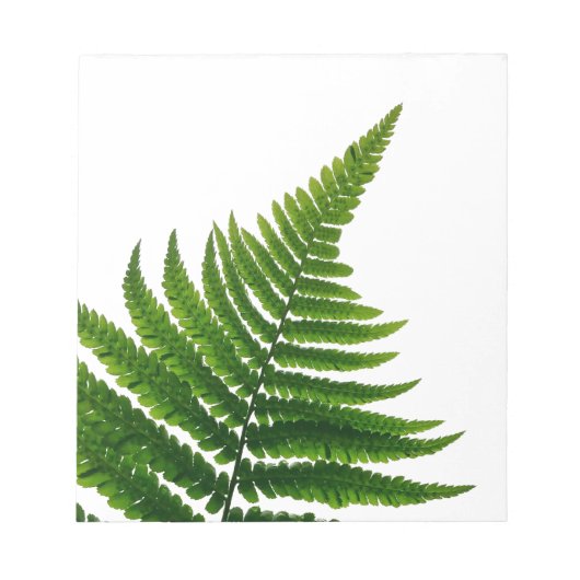Green Fern Print Woodlands Leaf Notizblock (Vorderseite)