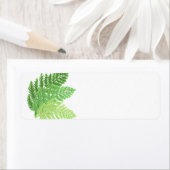 Green Fern Trio (Insitu)