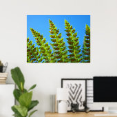Green Fern Verlasse Kunstdrucke Blue Sky Nature Ge Poster (Heimbüro)