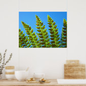 Green Fern Verlasse Kunstdrucke Blue Sky Nature Ge Poster (Küche)