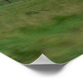 Green Field and Cloudy Blue Sky, Colorado Poster (Ecke)