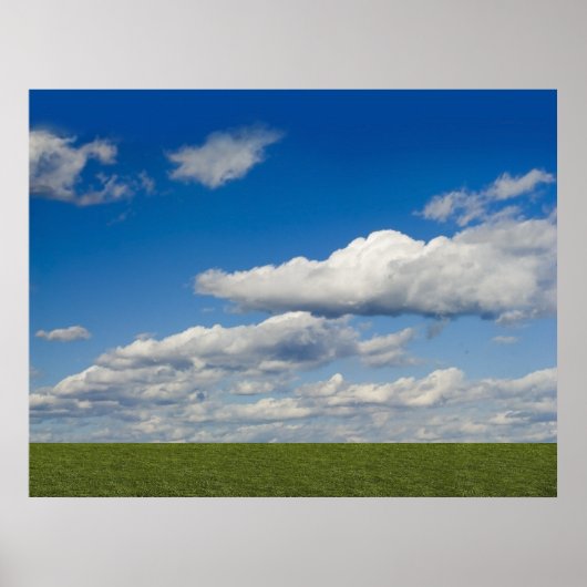 green filed, blue sky, white cloud poster (Vorne)