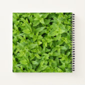 Green Fingers Notizblock (Rückseite)