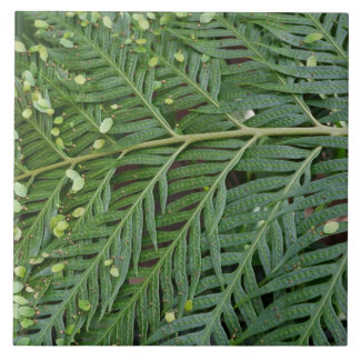 Green Foliage Fliese