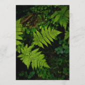 Green forest fern, Earth Day Card (Vorderseite)