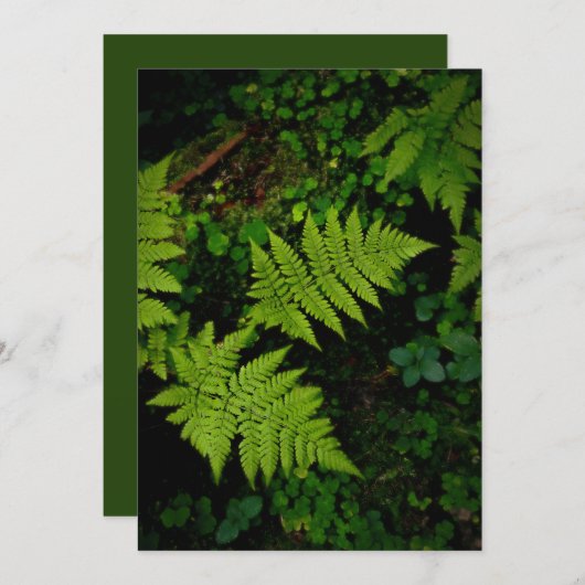 Green forest fern, Earth Day Card (Vorne/Hinten)