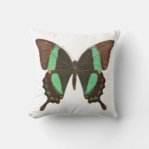 Green Frack Butterfly Kissen