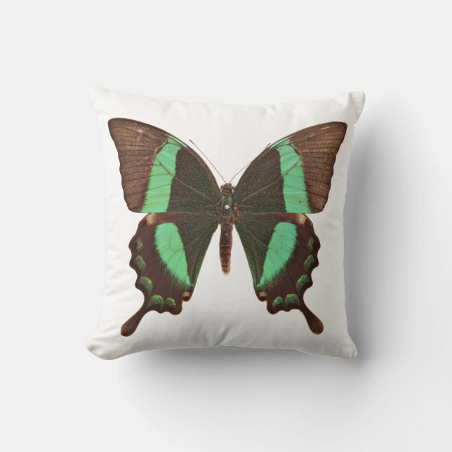 Green Frack Butterfly Kissen (Vorderseite)