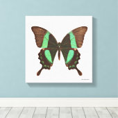 Green Frack Butterfly Leinwanddruck (Insitu (Holzboden))
