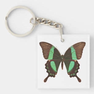 Green Frack Butterfly Schlüsselanhänger