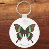 Green Frack Butterfly Schlüsselanhänger (Vorderseite)