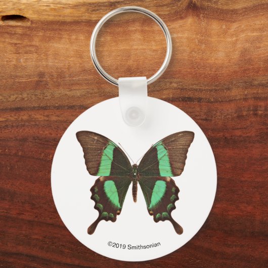 Green Frack Butterfly Schlüsselanhänger (Vorderseite)