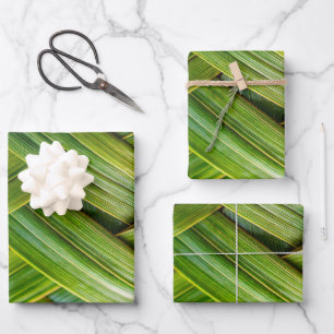 Green Fresh Bamboo Weave Geschenkpapier Set