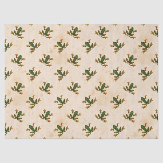 Green Frog Decoupage Seidenpapier (Vorderseite)