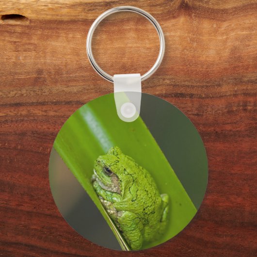 Green Frog Macro Schlüsselanhänger (Vorderseite)