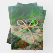 Green Frog Mossy Frog Geschenkpapier Set (Beispiel)