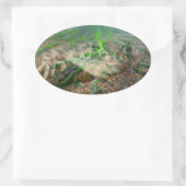 Green Frog Mossy Frog Ovaler Aufkleber (Tasche)