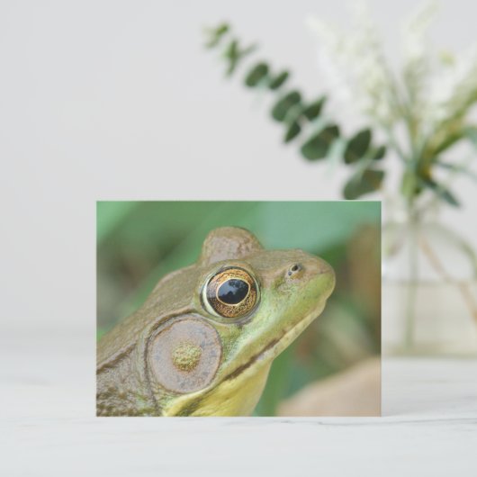Green Frog Postcard. Postkarte (Stehend Vorderseite)