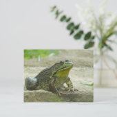 Green Frog. Postkarte (Stehend Vorderseite)