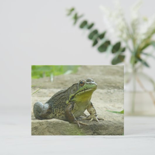 Green Frog. Postkarte (Stehend Vorderseite)