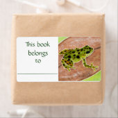 Green Frosch-Buchschild (Insitu)