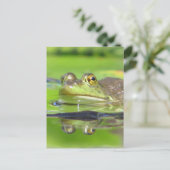Green Frosch Postcard Postkarte (Stehend Vorderseite)