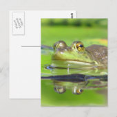 Green Frosch Postcard Postkarte (Vorne/Hinten)
