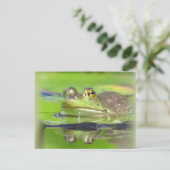 Green Frosch Postcard Postkarte (Stehend Vorderseite)
