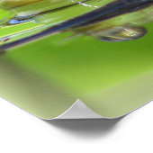 Green Frosch Print Poster (Ecke)