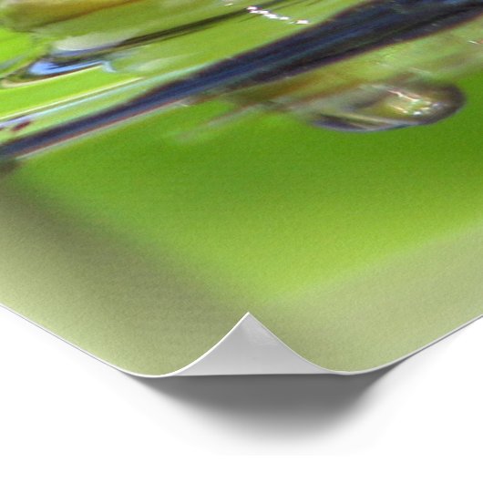 Green Frosch Print Poster (Ecke)