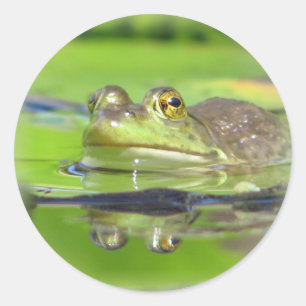 Green Frosch Sticker