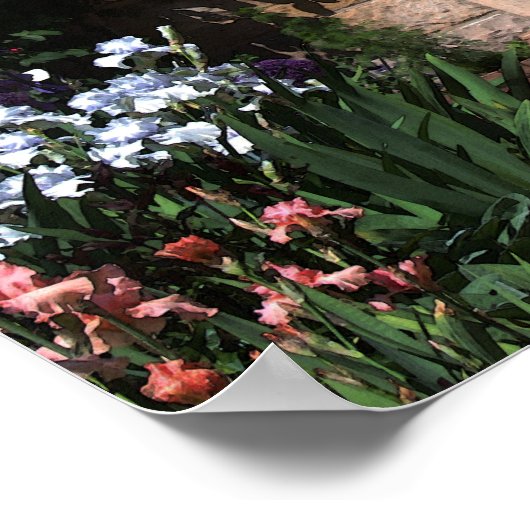 Green Garden Gate Poster (Ecke)