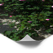 Green Garden Gate with Bench Poster (Ecke)