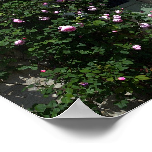 Green Garden Gate with Bench Poster (Ecke)