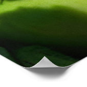 Green Garden Tomato Poster (Ecke)