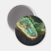 Green Gators Magnet (Vorderseite/Rückseite)