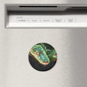 Green Gators Magnet (In Situ (Geschirrspüler))