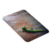 Green Gecko Flexi Magnet (Rechte Seite)