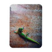 Green Gecko Flexi Magnet (Vertikal)