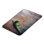 Green Gecko Flexi Magnet (Linke Seite)