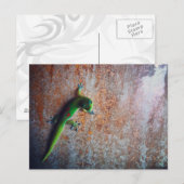 Green Gecko Postcard Postkarte (Vorne/Hinten)