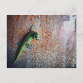 Green Gecko Postcard Postkarte