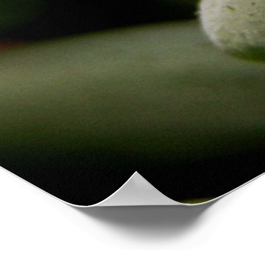 Green Gems Poster (Ecke)