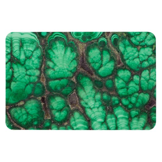 Green Gemustert Malachite Magnet (Horizontal)