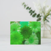 Green Gerbera Daisy Blume Foto Postkarten (Stehend Vorderseite)